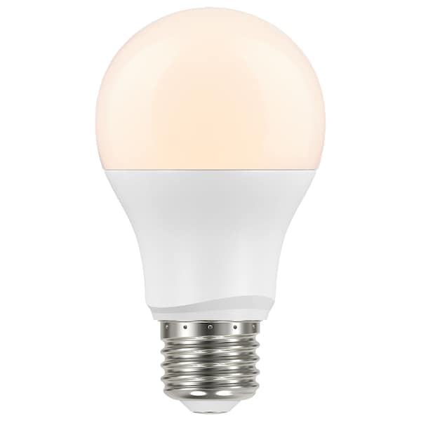 Bulb,LED,8W,A19,Medium,27K,Non-Dim,1EA